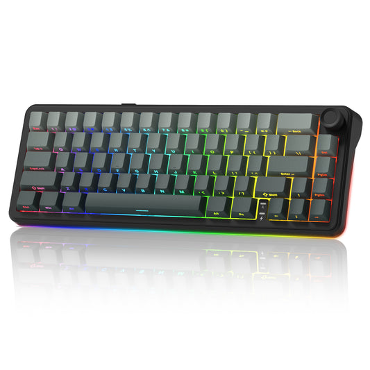 Womier L65 65% Gaming Mechanical Keyboard Wireless with Knob