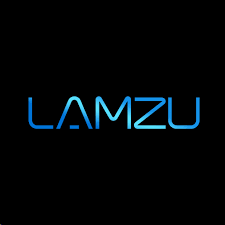 Lamzu Gaming Mouse
