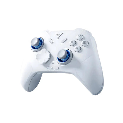 FLYDIGI Direwolf 4 Wireless Gaming Controller