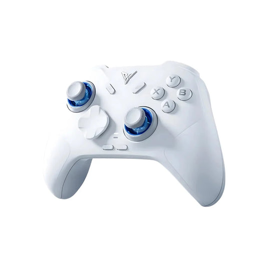 FLYDIGI Direwolf 4 Wireless Gaming Controller